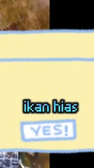 Ikan hias kuning