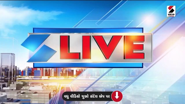 પાટણમાં રખડતા ઢોરની અડફેટે 2 લોકોના મોત