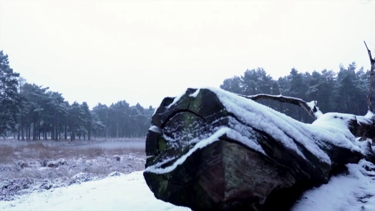 Frohe Weihnachten wünscht der Fernsehfunk Berlin