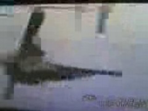 cascade safir ski 2008