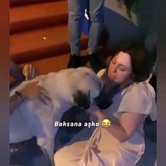 Alkolün dozunu kaçırdı köpeğe terapistlik yaptı: Baksana aşko...