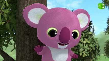 يوهو في طريقه للبحث عن الكوالا كوري