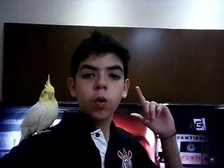 Bruno Ortis - Diadema - SP