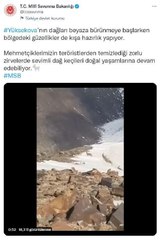 Yüksekova'da dağ keçileri görüntülendi