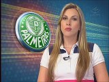 Palmeiras ainda busca reforços para a temporada 2012
