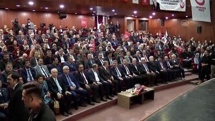 Destici: "HDP, Kürt kardeşlerimizi istismar ediyor"