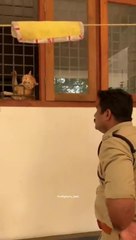 Funny cat got stuck.