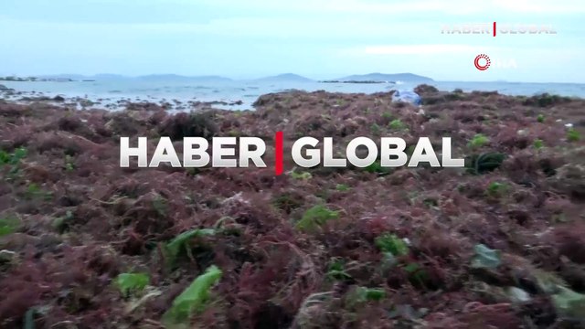 İstanbul’u lodos, Kadıköy’ü kırmızı yosunlar vurdu