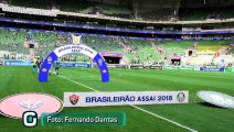 Allianz Parque terá gramado reformado até início de 2019