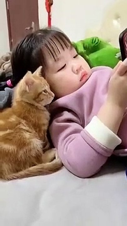 Cute Baby Cat Paying with a Small Cute Girl