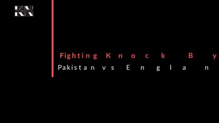 Fighting Knock By Imam-ul-Haq Pakistan vs England 2nd Test Day 3