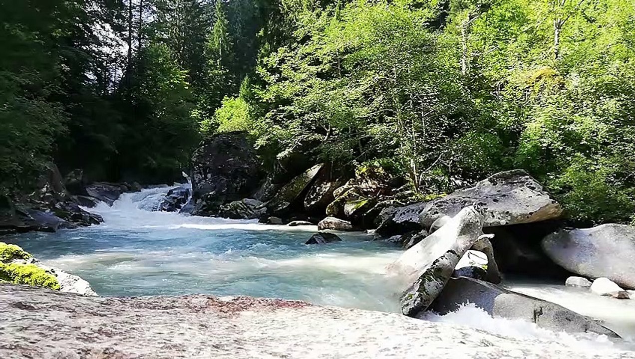 Scenic Relaxation  The Healing Power Of Nature Sounds  Forest Sounds 4