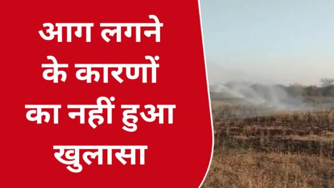 नागौर : वन क्षेत्र के दो किलोमीटर दायरे में घास में लगी आग, दमकल ने पाया आग पर काबू