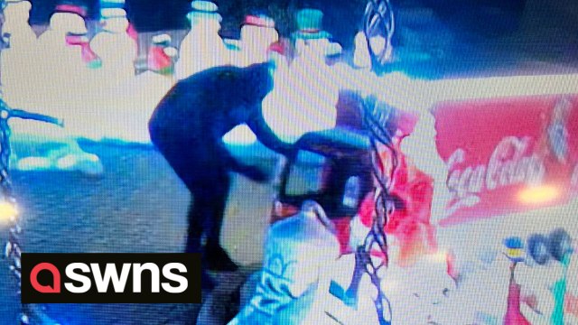 Mean-spirited thief steals a Coca-Cola truck from a Christmas light display