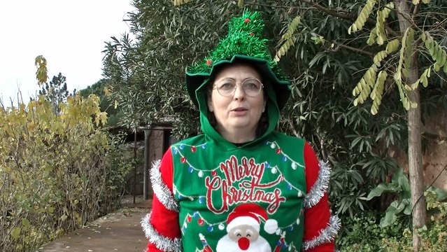 Bain de Noël du 11 décembre dans le lac du Salagou