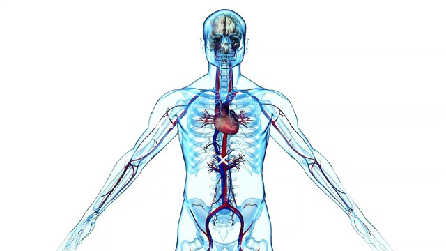 Metabolic Syndrome (syndrome X): A Dangerous Combination of Risk Factors | DM HEART CARE CLINIC
