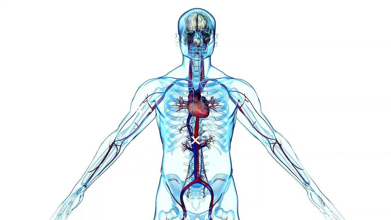 Metabolic Syndrome (syndrome X): A Dangerous Combination of Risk Factors | DM HEART CARE CLINIC