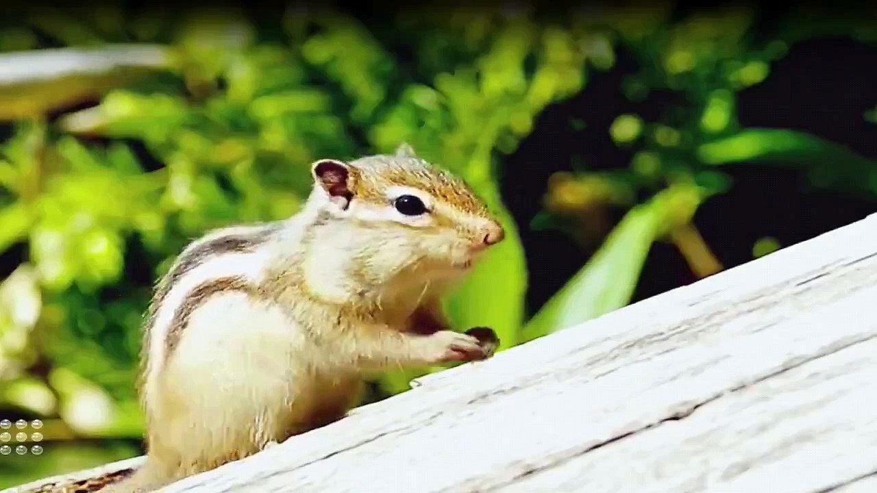 Bargain Mansions Staffel 1 Folge 10 HD Deutsch