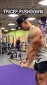 STOP bending your wrist back during tricep pushdowns using a straight bar!For training plan with forms tip...y #tricepextensions #tricepkickbacks #tricepkickback #tricepexercises #tricepsextension #triceppump #armdayworkout #armday