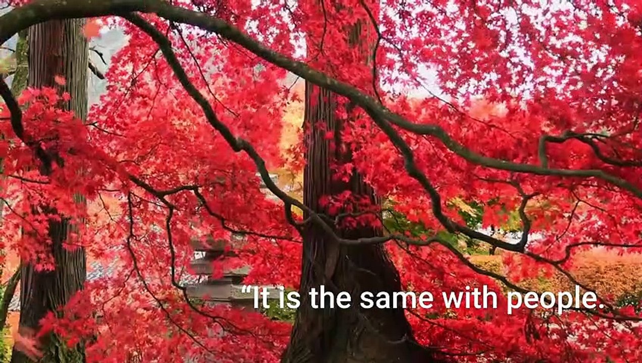 Marie Kondo's Quotes: How to Live a Clean and Organized Life