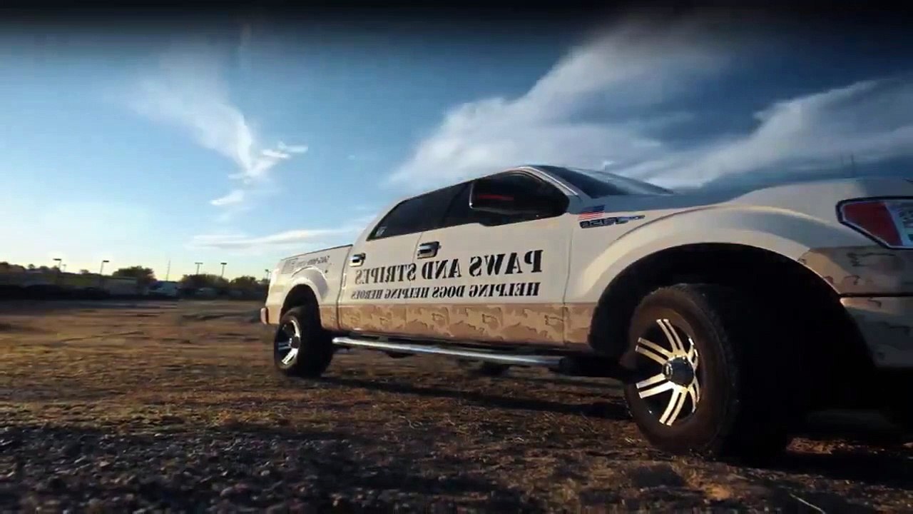 Dogs of war - hilfe auf vier pfoten staffel 1 folge 2 hd deutsch