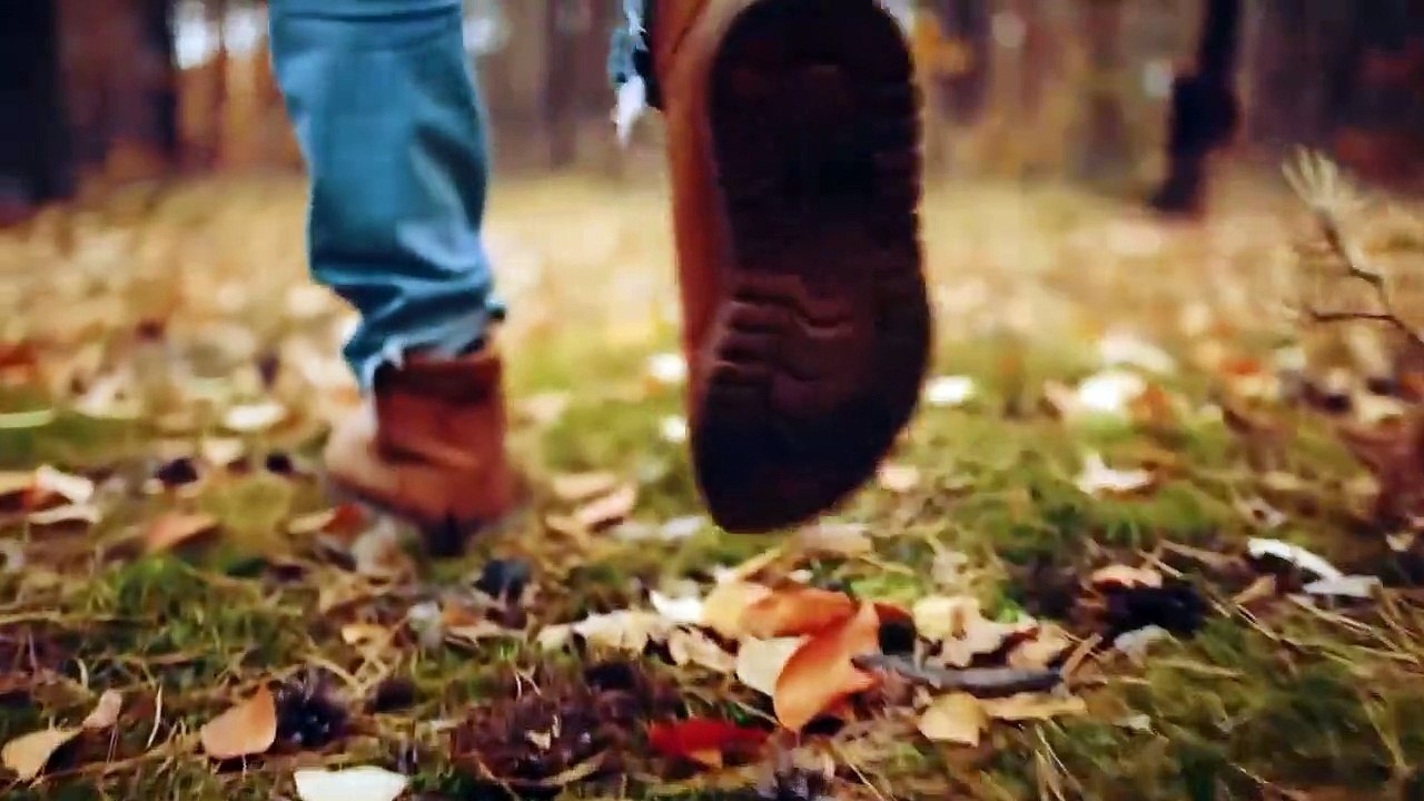 Regardez "Un Homme Sauve un Chiot Abandonné et Découvre plus Tard que Ce N'Est PAS un Chien !"