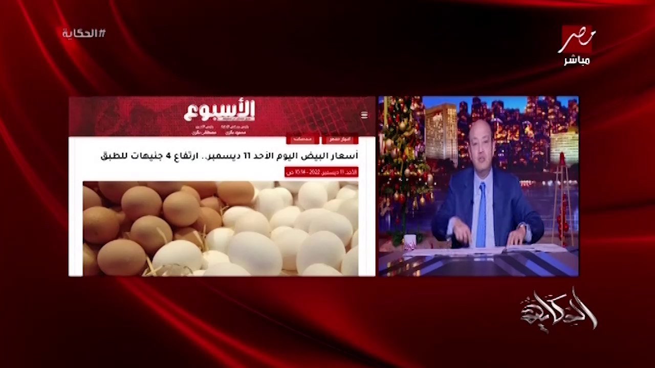 احنا ماوقفناش بيع الكتاكيت لكن محدش راضي يدخلها بسبب ارتفاع اسعار العلف رغم ان الدولة افرجت عن علف بس فيه احتكار.. عبد العزيز السيد رئيس شعبة الدواجن باتحاد الغرف