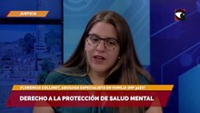 Derecho a la protección de salud mental
