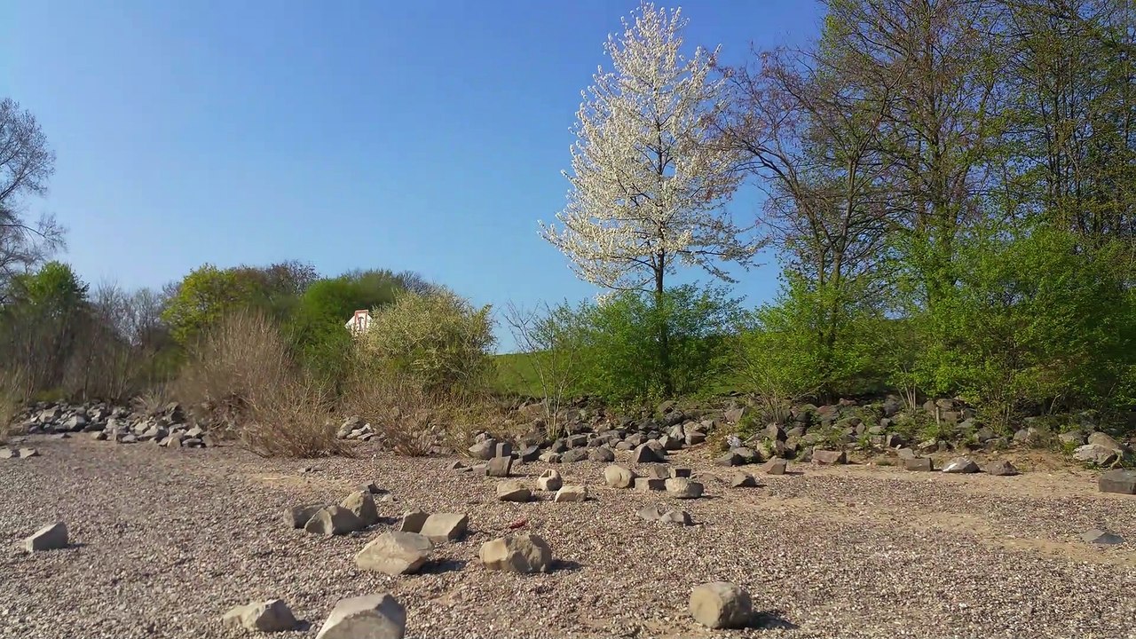 Sabzi 2017