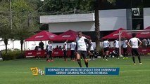 Santos deve ter o reforço de Robinho para a Copa do Brasil