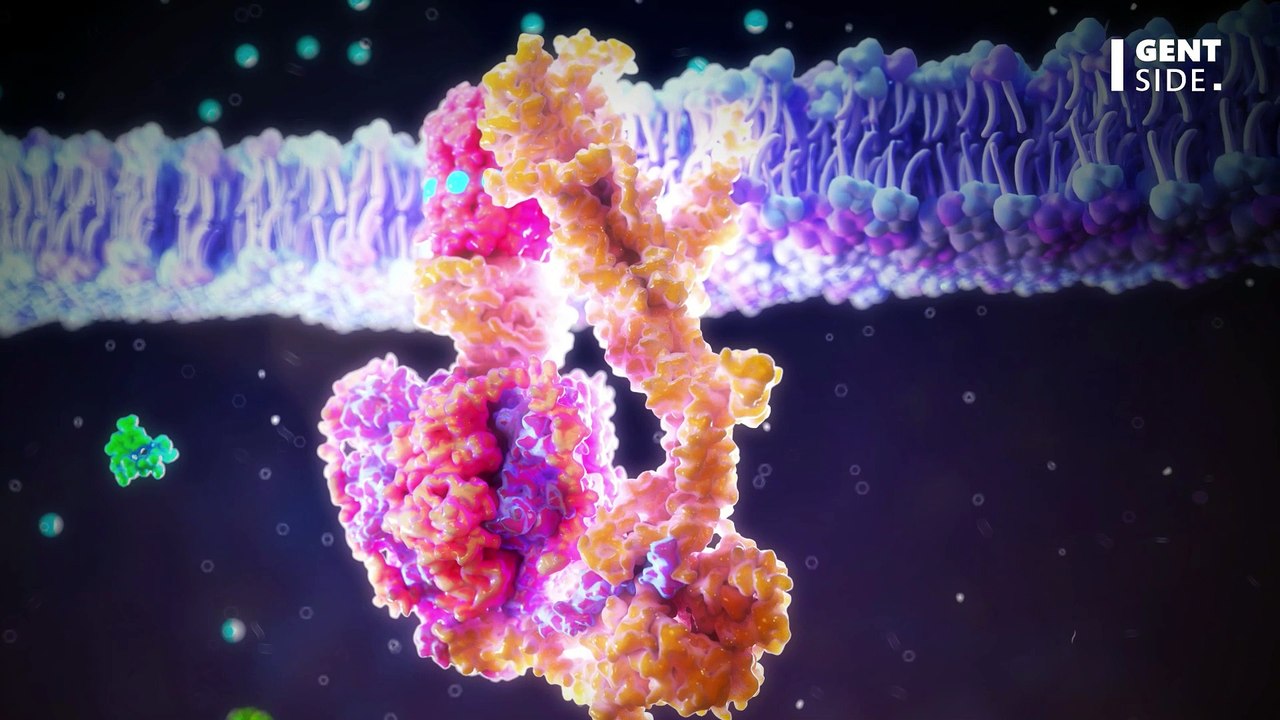 Wer diese Anzeichen hat, leidet an Laktoseintoleranz