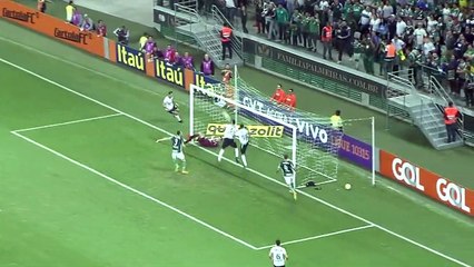 Com vitória, Palmeiras vira líder absoluto e alcança 100% em casa