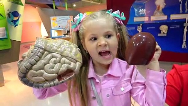 Diana and Children's Museum Pretend Play Indoor Playground for Kids