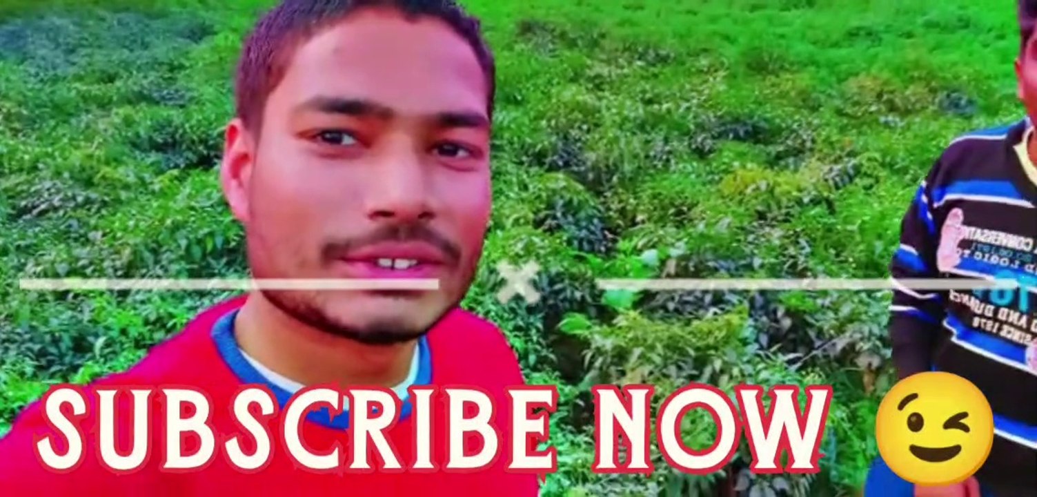 मिर्च की खेती को खान निभापुर 241403#mkz143vlogs #मिर्च_की_खेती #मिर्ची_भाव #viralreels #trending