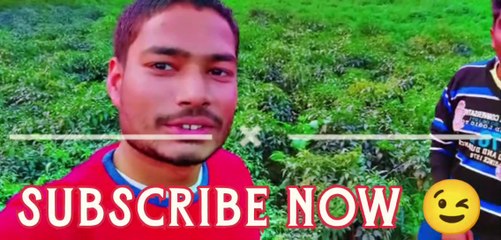 मिर्च की खेती को खान निभापुर 241403#mkz143vlogs #मिर्च_की_खेती #मिर्ची_भाव #viralreels #trending