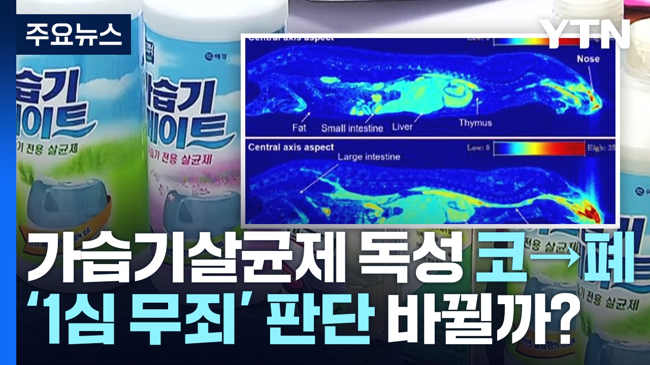 [이슈인사이드] "가습기 살균제 성분 폐까지" 첫 입증...'1심 무죄' 판단 바뀔까...