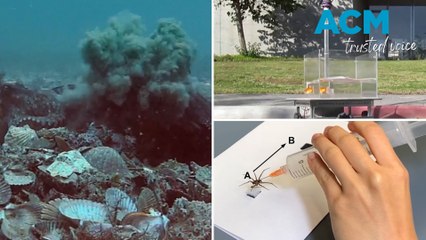 2022's weirdest science stories