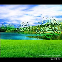 Islamic Reflections