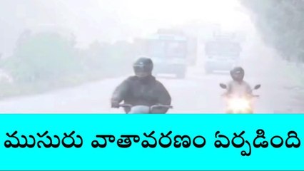 వరంగల్ వెస్ట్: మాండూస్ ఎఫెక్ట్.. జిల్లావ్యాప్తంగా మోస్తరు వర్షం..!
