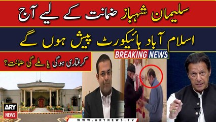 Salman Shahbaz to go IHC for bail