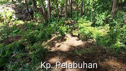 Ini Penjelasan Kasi Pemerintahan Desa Purbayani  Terkait Jalur Evakuasi Apabila Laut Naik