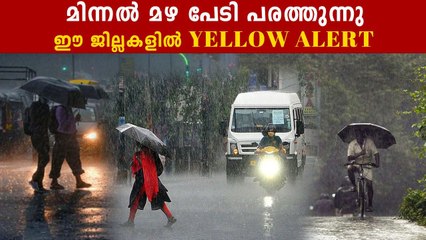 കേരളത്തിൽ മഴ തകർത്ത് പെയ്യും, വിവിധ ജില്ലകളിൽ യെല്ലോ അലേർട്ട്
