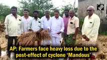 Andhra: Farmers face heavy losses due to Cyclone Mandous
