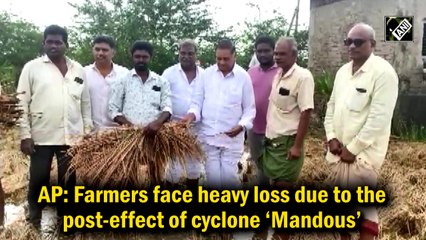 Andhra: Farmers face heavy losses due to Cyclone Mandous