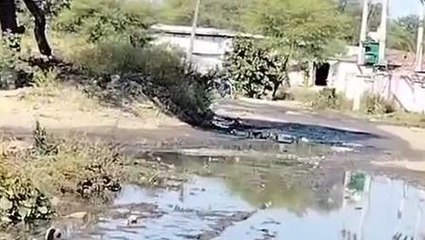 सीहोर : सड़क पर फैला गंदा पानी डेंगू जैसी बीमारियों फैलने की आशंका, जिम्मेदार नहीं दे रहे ध्यान....