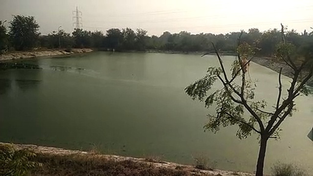 सीवरेज ट्रीटमेंट प्लांट के पानी के उपयोग से झील...