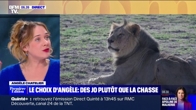 Le choix d'Angèle - Au Kenya, des Jeux olympiques pour défendre les lions, menacés d'extinction