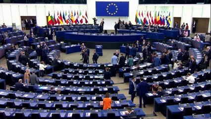 EU Parliament vice-president Eva Kaili in custody for alleged 'bags of cash from Qatar'