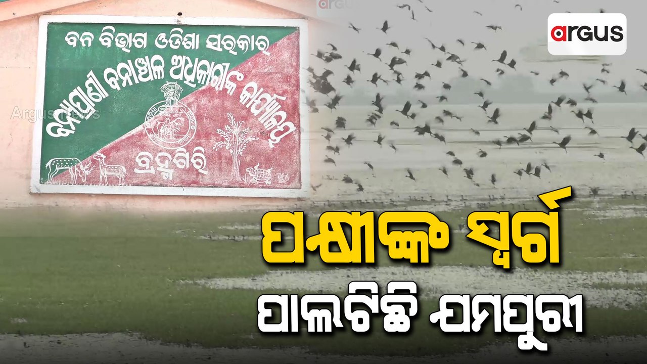 Bird Poaching Rampant In Chilika, Odisha