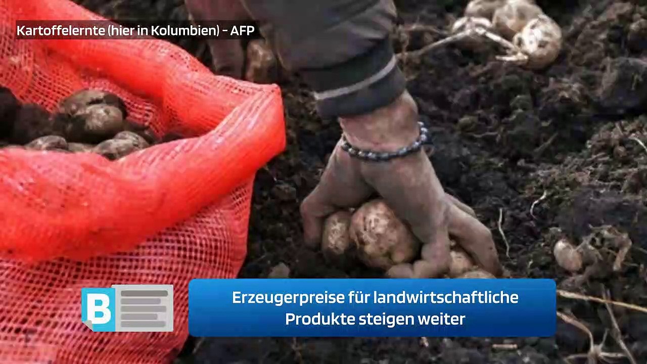 Erzeugerpreise für landwirtschaftliche Produkte steigen weiter